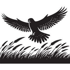 Majestic Hawk Soaring Above Grassy Field Illustration for Nature Enthusiasts
