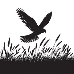 Silhouette of Bird of Prey Flying Over a Field of Grain