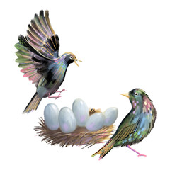 Starling birds are sitting and flying near the nest with eggs. Cute multicolored hand drawn spring illustration for cards, design, t shirt, print.
