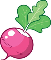 Fresh Red Radish Vector Illustration with Green Leaves and Detailed Design - Ideal for Healthy Food and Agriculture Themes
