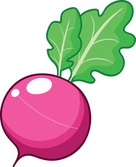Fresh Red Radish Vector Illustration with Green Leaves and Detailed Design - Ideal for Healthy Food and Agriculture Themes