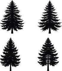 Pine Tree Silhouette vector illustration