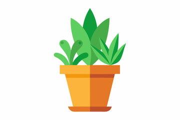 green plant in a pot