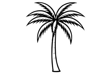 palm tree silhouette