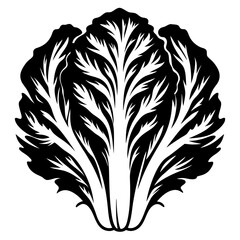 Obraz premium Stylized monochromatic Napa cabbage vector illustration against a white background design