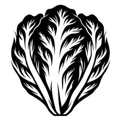 Obraz premium Abstract vector illustration of a head of romaine lettuce in black and white