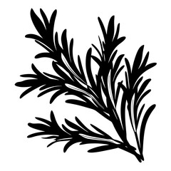 Monochrome Illustration of Rosemary Sprigs in Minimalist Style for Design Element