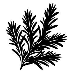 Silhouette of a sprig of rosemary with slender leaves on a white background