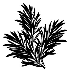 Stylized Illustration of a Plant with NeedleLike Leaves in Black Silhouette