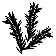 Stylized Rosemary Sprigs in Silhouette Fresh Herb Illustration for Cooking
