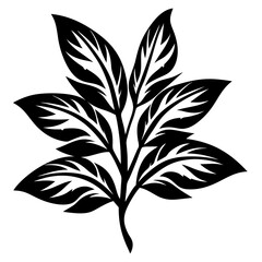 Striking black and white botanical illustration of a tropical plant leaf design