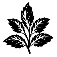Stylized Black and White Leaf Illustration Depicting a FiveLobed Foliage Design