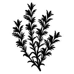 Naklejka premium Silhouette of a Lush Rosemary Bush Illustrating Culinary Herb Plant Design