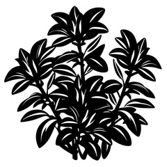 Black and white silhouette of a botanical bush with flowers and leaves