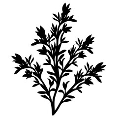Elegant silhouette of a botanical plant with textured leaves and branches