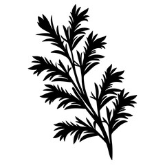 Elegant Black Silhouette of a Branch with Feathery Leaves on White Backdrop