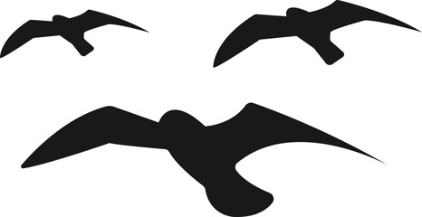 Vector illustration of a silhouette of a bird