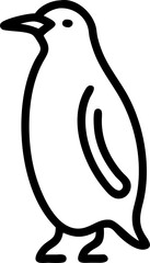 penguin on a white background