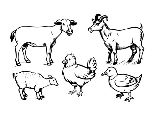 Fototapeta premium A set of animals background