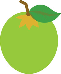 ambarella real color vector icon