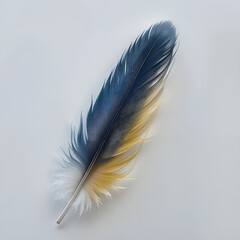 A striking orange, blue and brown feather lies gracefully on a pristine white background. 