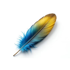 A striking orange, blue and brown feather lies gracefully on a pristine white background. 