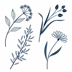 Plant Inspired Line Elements Branching