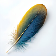 A striking orange, blue and brown feather lies gracefully on a pristine white background. 