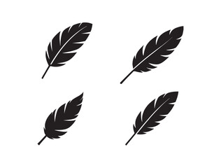 This vector set features a decorative pattern of bird feathers, a natural and artistic illustration with a vintage plume silhouette
