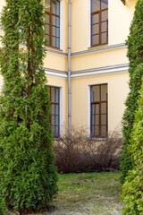 Lush House Courtyard Thuja Garden