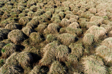 Photography along Mjøsleden Path and Steinsholmen Island by Lake Mjøsa at Moelv, Innlandet, Norway, April 2025.