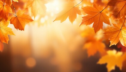 Autumn background with orange leaves and sunlight