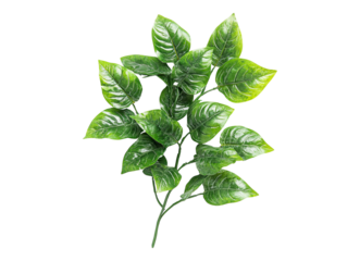 Artificial Rubber Greenery