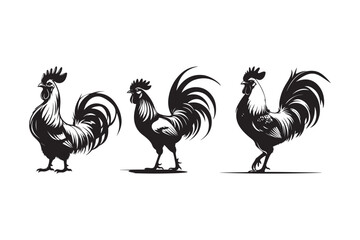 Rooster Silhouettes Vector Art Set Farm Chicken Crowing Illustrations