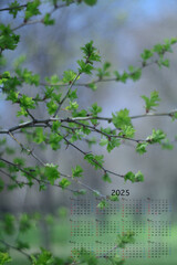Calendar 2025, nature calendar, wall paper calendar 2025, beautiful nature calendar, nature wall paper