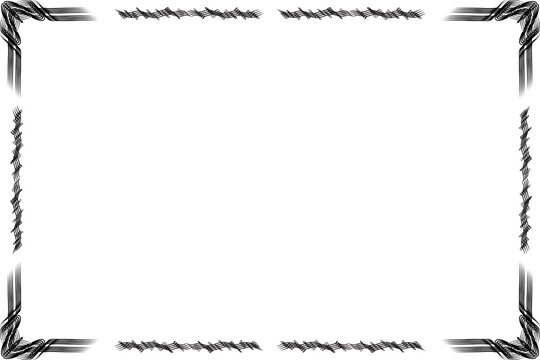 Simple and Floral Horizontal Frame and Border with Transparent Background