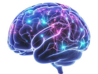 Glowing Human Brain 3D Render, Isolated on Transparent Background, Neural Network, Brain Activity, Neurology, Neuroscience, Medicine