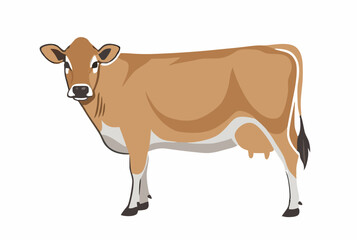 A Jersey cow isolated with a white background