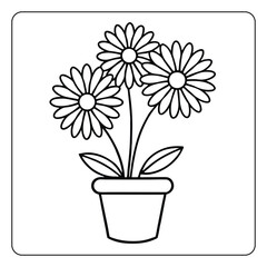 Pink spring flowers blossom in a potted floral bouquet, a colorful nature decoration