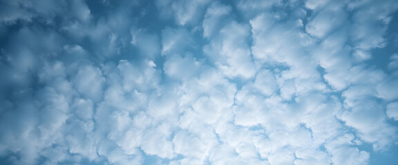 Obraz premium blue sky filled with lots of white clouds