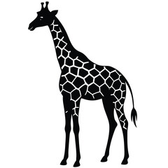 Naklejka premium cute giraffe vector illustration - black and white stylized outline of an elegant animal