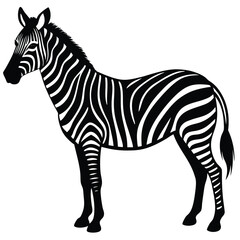 zebra black and white vector illustration