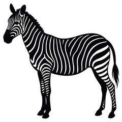 zebra black and white vector illustration