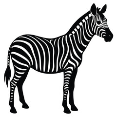 zebra black and white vector illustration