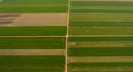 Aerial Drone Surveying Simple Linear Farmland Layout