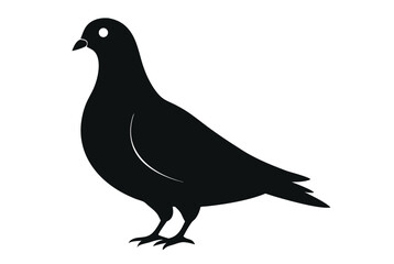 apigeon-silhuette---vector-art-illustriton-white-b.eps