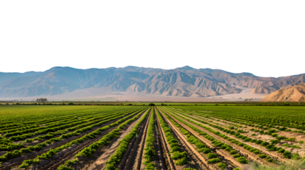 Historic Imperial Valley: Pioneering the First Major Irrigation District in the Region