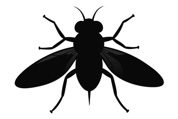 housefly--silhuette---vector-art-illustriton-white.eps