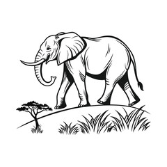 elephant line line art vector silhouette