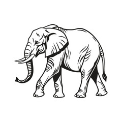 elephant line line art vector silhouette